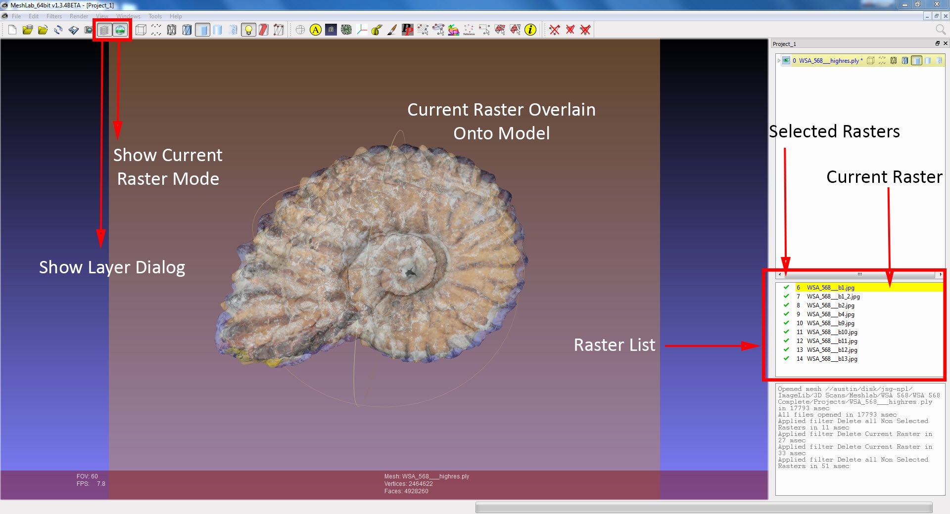 Raster Overview