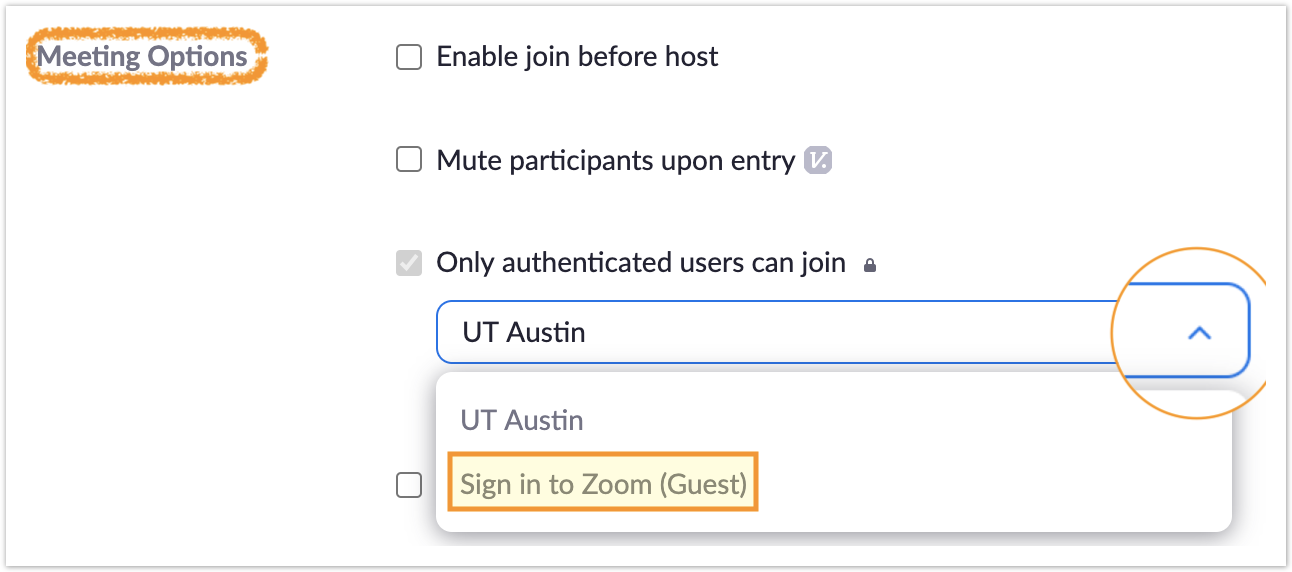 screen shot showing selecting Sign in to Zoom (Guest)