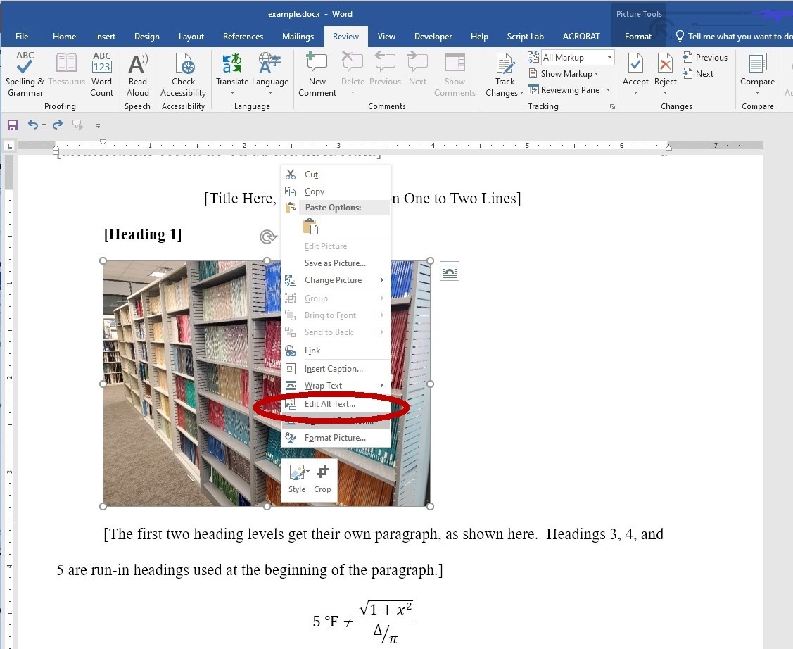 MS Word document, showing left-click on image options