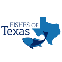 Fishes of Texas Project Documentation